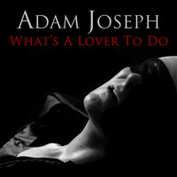 Thumbnail for the Adam Joseph - What's a Lover to Do link, provided by host site