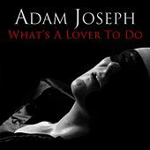 Thumbnail for the Adam Joseph - What's a Lover to Do link, provided by host site