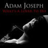 Thumbnail for the Adam Joseph - What's a Lover to Do link, provided by host site