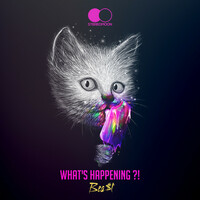 Thumbnail for the Beat - What's happening?! link, provided by host site