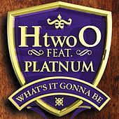 Thumbnail for the Platnum - What's It Gonna Be link, provided by host site