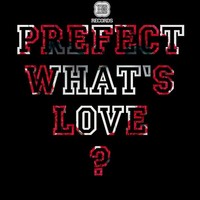 Thumbnail for the Prefect - What's Love? Remix link, provided by host site