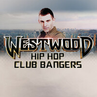 Thumbnail for the Fat Joe - What´s Luv? link, provided by host site