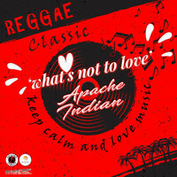 Thumbnail for the Apache Indian - What's Not To Love link, provided by host site