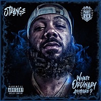 Thumbnail for the Strange - What's Ordinary Anymore? link, provided by host site