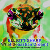 Thumbnail for the Elliott Sharp - What Sebastian Dreamt (Original Motion Picture Soundtrack) link, provided by host site