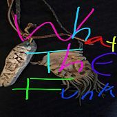 Thumbnail for the GRiZ - What the Funk link, provided by host site