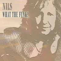 Thumbnail for the Nils - What the Funk link, provided by host site