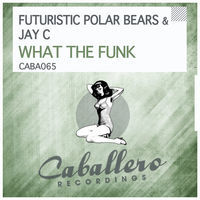 Thumbnail for the Futuristic Polar Bears - What the Funk link, provided by host site
