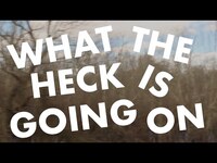 Thumbnail for the Mic the Snare - what the heck is going on .mp4 link, provided by host site
