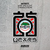 Thumbnail for the Antidote - What Time Is Love - Stan Kolev Remix link, provided by host site