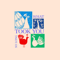 Thumbnail for the Newton Faulkner - What Took You so Long link, provided by host site