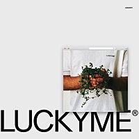 Thumbnail for the Hudson Mohawke - What U Need link, provided by host site