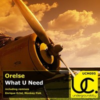 Thumbnail for the Orelse - What U Need link, provided by host site