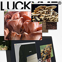 Thumbnail for the Hudson Mohawke - What U Need link, provided by host site