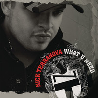 Thumbnail for the Nick Terranova - What U Need link, provided by host site