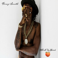 Thumbnail for the King South - What U Need link, provided by host site