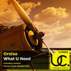 Thumbnail for the Orelse - What U Need link, provided by host site