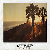 Thumbnail for the Ikon - What U Need link, provided by host site