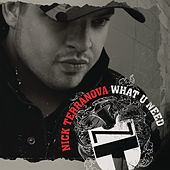 Thumbnail for the Nick Terranova - What U Need link, provided by host site