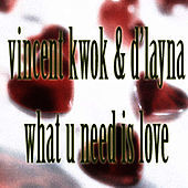 Thumbnail for the Vincent Kwok - What U Need Is Love link, provided by host site