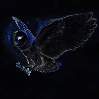 Thumbnail for the Sasha Primitive - What U Want - Original Mix link, provided by host site