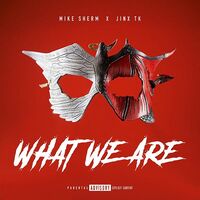 Thumbnail for the Mike Sherm - What We Are link, provided by host site