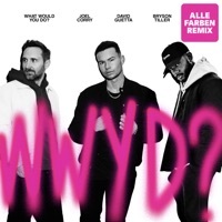 Thumbnail for the Joel Corry - What Would You Do? [Alle Farben Remix] link, provided by host site