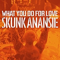 Thumbnail for the Skunk Anansie - What You Do for Love link, provided by host site