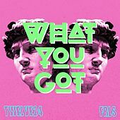 Thumbnail for the Twelve24 - What You Got link, provided by host site