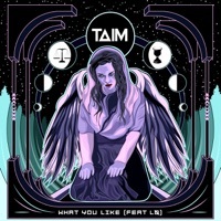 Thumbnail for the Taim - What You Like link, provided by host site