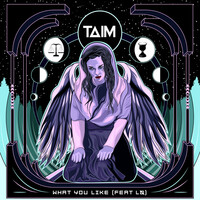 Thumbnail for the Taim - What You Like (Radio Edit) link, provided by host site