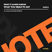 Thumbnail for the Ridney - What You Mean To Say link, provided by host site