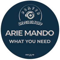 Thumbnail for the Arie Mando - What You Need link, provided by host site