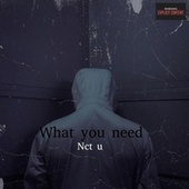 Thumbnail for the NCT U - What You Need link, provided by host site