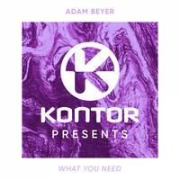 Thumbnail for the Adam Beyer - What You Need link, provided by host site