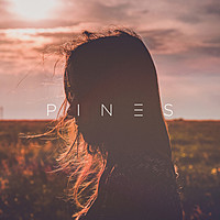 Thumbnail for the Pines - What You Need link, provided by host site