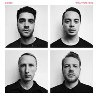Thumbnail for the Goose - What You Need link, provided by host site