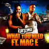 Thumbnail for the Karizma - What You Need link, provided by host site