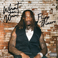 Thumbnail for the Flipp Dinero - What You Want link, provided by host site