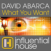 Thumbnail for the David Abarca - What You Want link, provided by host site