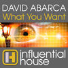Thumbnail for the David Abarca - What You Want link, provided by host site