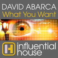Thumbnail for the David Abarca - What You Want link, provided by host site