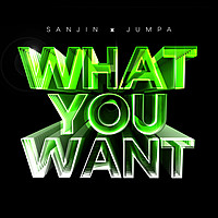 Thumbnail for the Sanjin - What You Want link, provided by host site