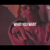 Thumbnail for the Reuben James - What You Want link, provided by host site