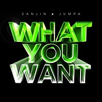 Thumbnail for the Sanjin - What You Want link, provided by host site