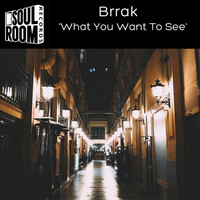 Thumbnail for the Brrak - What You Want to See link, provided by host site