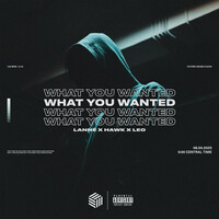 Thumbnail for the LANNÉ - What You Wanted link, provided by host site
