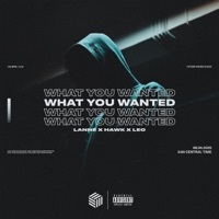 Thumbnail for the LANNÉ - What You Wanted link, provided by host site