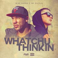 Thumbnail for the Mike Sherm - Whatchu Thinkin link, provided by host site